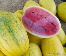 Image result for Yellow Meated Watermelon