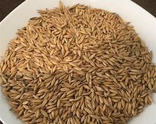 Image result for Pig Feed Oats