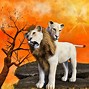 Image result for Mother Lioness