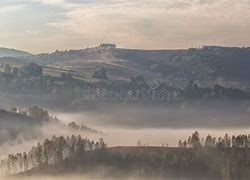 Image result for Foggy Morning Trees