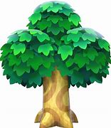 Image result for Animal Crossing New Leaf Fruit