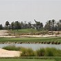 Image result for Doha Sports Club