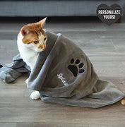 Image result for Cat Bath Towels