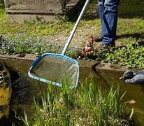 Image result for Koi Pond Bottom Drain Cleaning