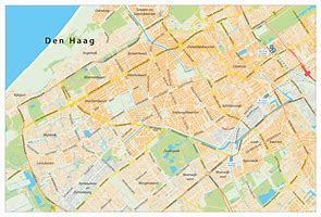 Image result for Kaart Den Haag