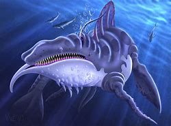 Image result for Whale Dragon