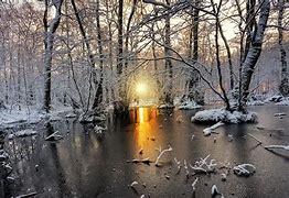 Image result for Sweden Forest Winter