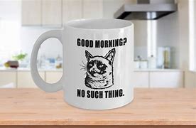 Image result for Funny Cat Mugs