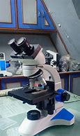 Image result for Biology Lab Sink