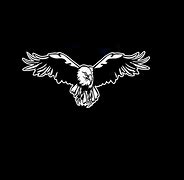 Image result for Eagle Wing Graphic Decals