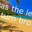 Image result for Summertime Lyrics