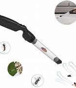 Image result for Stink Bug Catcher