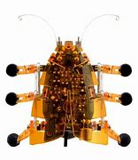 Image result for Robotic Bug