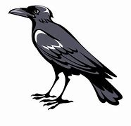 Image result for Crow Raven Clip Art