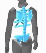 Image result for Roblox X-ray