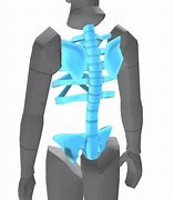 Image result for X-ray Roblox Mm2