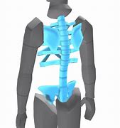 Image result for X-ray Roblox