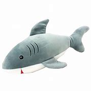 Image result for Shark Teddy