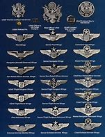 Image result for Us Air Force Wings