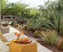 Image result for Desert Garden Design Ideas