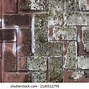 Image result for Moss-Covered Yard