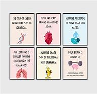 Image result for Science Facts Posters