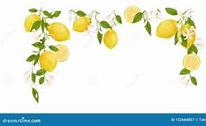 Image result for Lemon Artwork