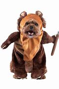 Image result for Wookie Ewok