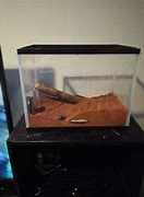 Image result for Ant Enclosure