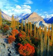 Image result for Karimabad Hunza Map