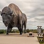 Image result for Biggest Colugo