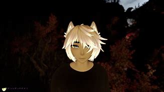 Image result for VRChat Floofs