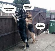 Image result for Funny Police Dog Memes