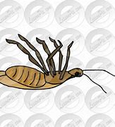 Image result for Dead Bug Art