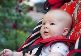 Image result for Baby in Flower Garden