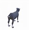 Image result for Cartooon 3D Fluffy Goat