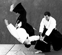 Image result for Aikido Knife