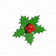 Image result for Mistletoe Story