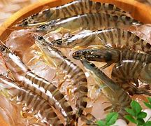 Image result for Prawn Water