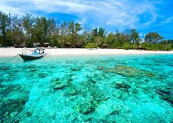 Image result for Gili T