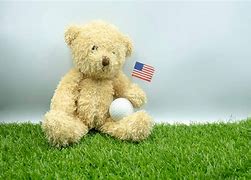 Image result for Golden Moon Bear