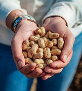 Image result for Happy Nuts Peanut