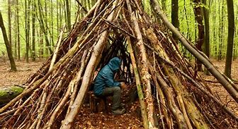 Image result for Survival Shelter Building