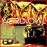 Image result for Weird Owl