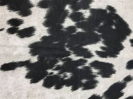 Image result for Cow Fabric