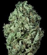 Image result for Flowering Sour Diesel Pictures