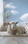 Image result for Sheep in Room