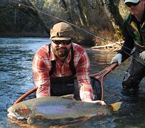 Image result for Steelhead Fly Fishing