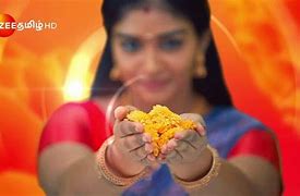 Image result for Zee Tamil Awared Image