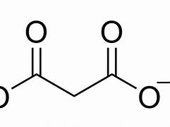 Image result for Malonate Ion